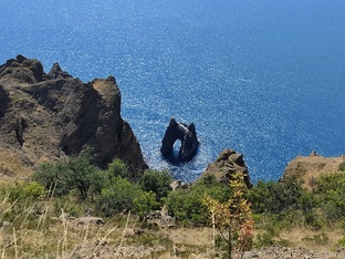 Записки из заповедника 