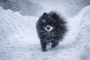 Февраль — не повод для хандры! 