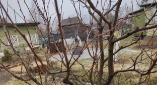 Дача Сезон 2024.