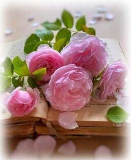 МОИ СТИХИ 2 2023