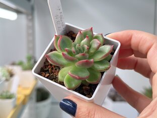 Было - Стало 