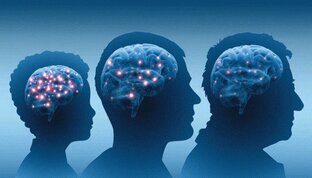 Когнитивные функции мозга