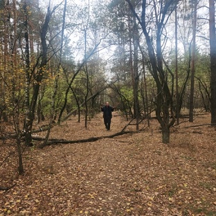 Там, где листва тихо падала на землю.