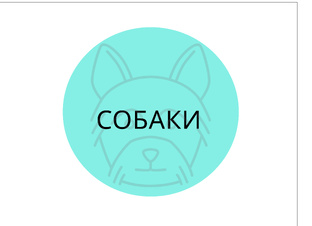 СОБАКИ