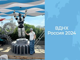 Впечатления