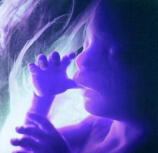 Путь эзотерика