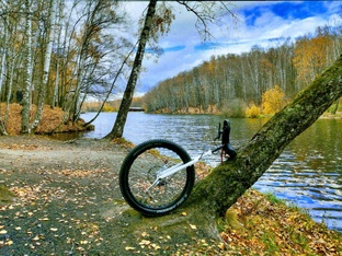 В лес за опытом