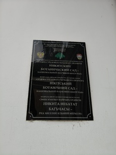 Парад тюльпанов в Никитском ботаническом саду. 2025