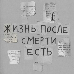 Книжная полка: исследования жизни после смерти