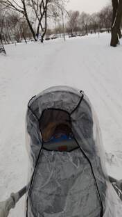 Игорь - летопись маленькой жизни