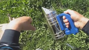 Инструменты пчеловода