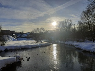 Новобратцево-Путилково-Митинский лес