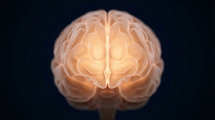 Диета при депрессии 