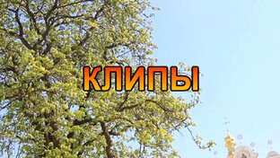 КЛИПЫ