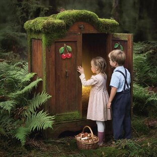 Волшебный шкаф и друзья 