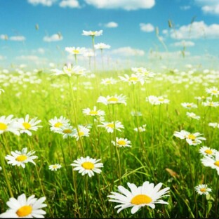 ШТРИХИ, ЭЭээ..НЕе. СТИХИ и РАССКАЗЫ !