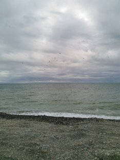 Сочи 2024 зимой🏝️