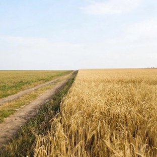 Экономика психологии