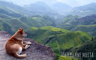 Интересные места 