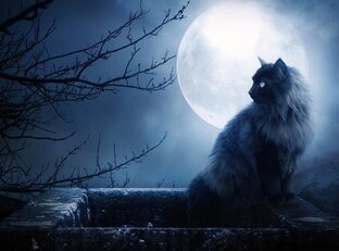 Рассказы на реальных событиях