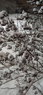 Крещение Господне 2026 в Минске 