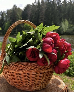 Красота природы