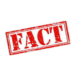 Интересные факты