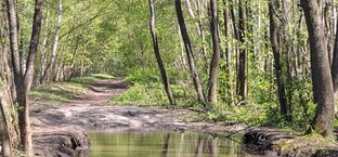 Подмосковье