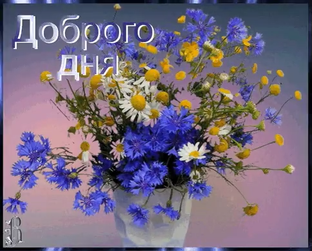 Доброго дня