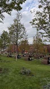 Краснодар life