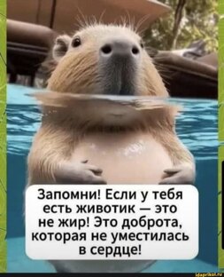 Отвес