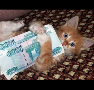 Пенсия, зарплата, деньги