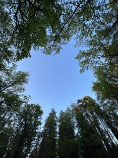 Психология для себя 