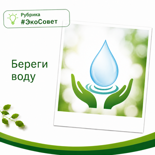 ЭкоСовет