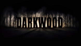 Darkwood