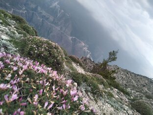 Моменты, которые хотелось оставить в памяти.