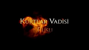 Kurtlar Vadisi Pusu (1-300) Bölüm