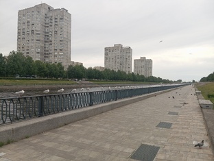 Лето в Ленинграде 