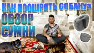 Обзоры на корма, товары и услуги для собак.