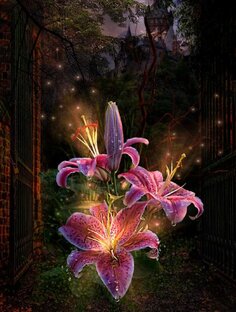 Маленькая принцесса