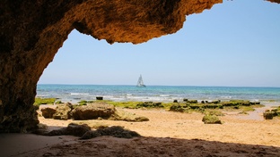 Сладкие воспоминания