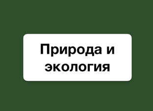 Природа и экология