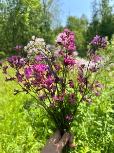 Большая Валдайская тропа
