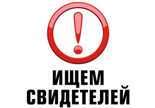 Свидетели происшествия! Они все записали.