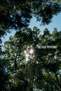 По лесному пути