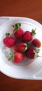 Любимая еда 