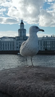 Один день в Петербурге
