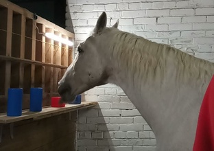 Эксперименты с Буддой на цвета и символы