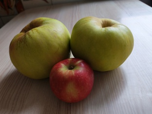 Третий ребенок в кругу семьи