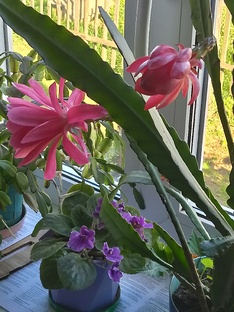 Фото с киноэфектом